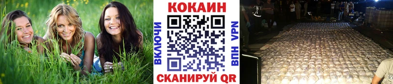 COCAIN Fish Scale  где можно купить   Нальчик 