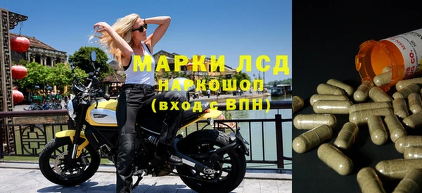 прущие крисы Магадан