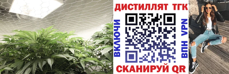 ТГК жижа Нальчик